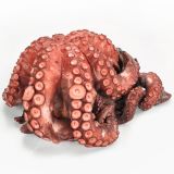 PULPO COCIDO T6