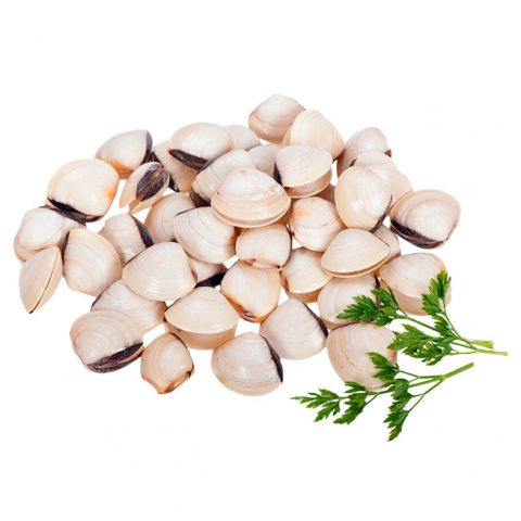 ALMEJA BLANCA 60/80  6x1