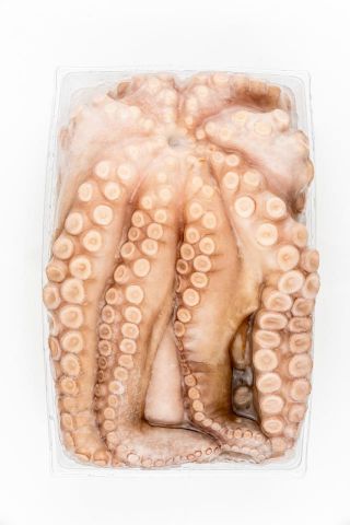 PULPO T7 800/1200 SALGADO