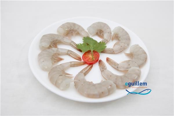 COLA LANGOSTINO 26/30 6x2 GUILLEM