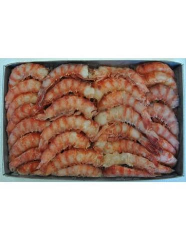 COLA ALISTADO 1 PESCANOVA