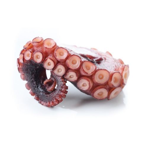 PATA PULPO  JUGO 200/250 x 2.5 APROX