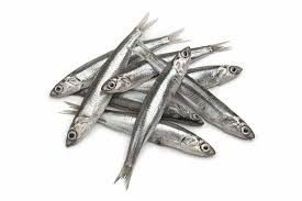 BOQUERON 40/45 PIEZ x 16 KG