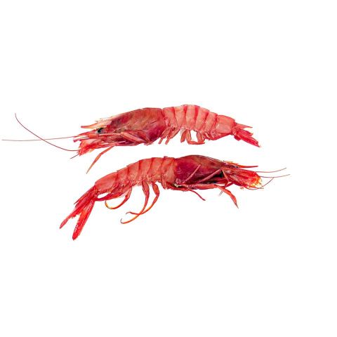 ALISTADO 1E CARABELAS TAPA AZUL(36/40)