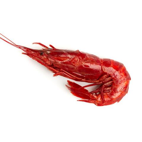 CARABINERO 3 ( 10 PZ)