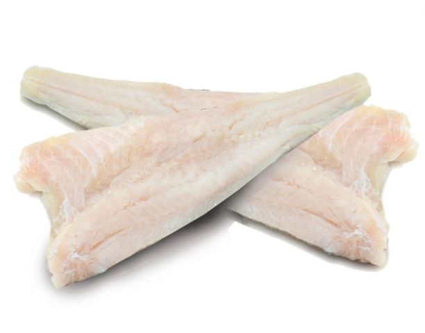 FOGONERO FTE.500/1000 x 11