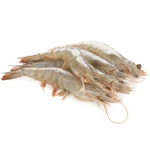 GAMBA BLANCA 1 60/90 GRECIA 12x500GR