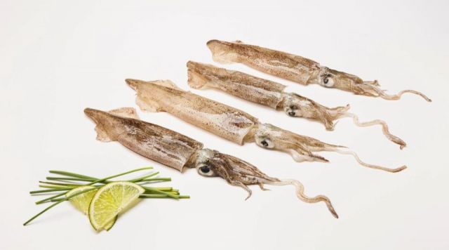 CALAMAR PATAGON.C (7/9) COPEMAR x 5APROX