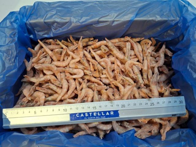 GAMBA BLANCA 4  200+x3 CASTELLAR